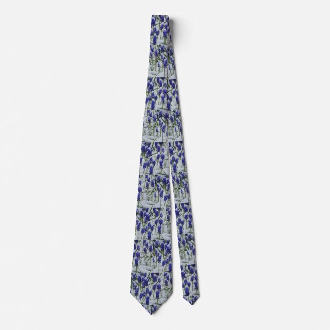Hyacinthes de raisin en Cravate de neige (Devant)