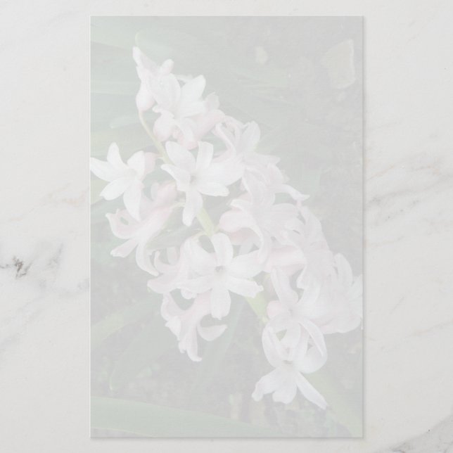 Hyacinths Stationery Briefpapier (Vorderseite)