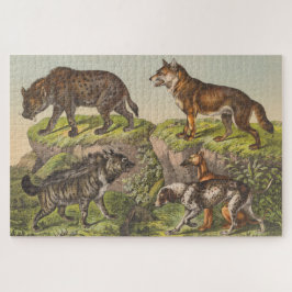 Hyaena (Hyena), Wolf und Hund