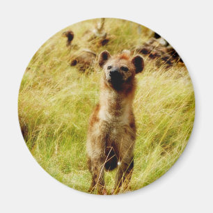 Hyäne mit Magneten des Wildebeest (Gnu) Magnet