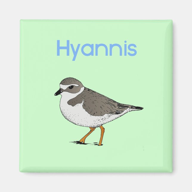Hyannis-Plover Magnet (Vorne)