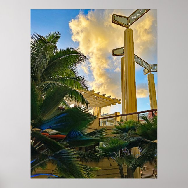 Hyatt Waikiki Poster (Vorne)