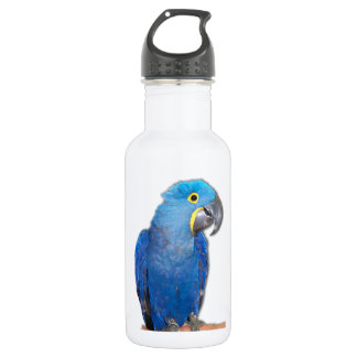 HyazintheMacaw Edelstahlflasche
