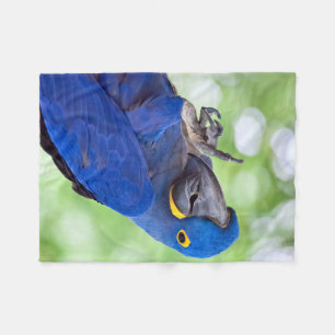 Hyazinthemacaw-Vogel Fleecedecke