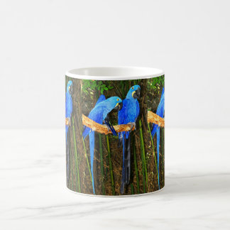 HyazintheMacaws Kaffeetasse