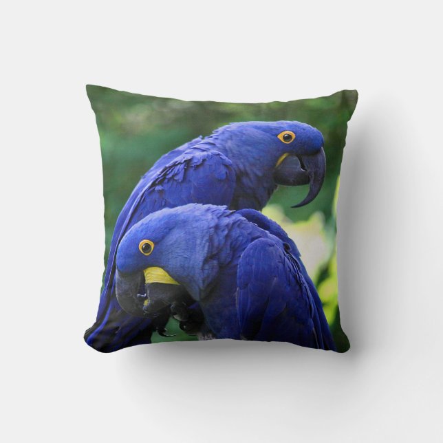 HyazintheMacaws Kissen (Vorderseite)