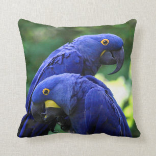 HyazintheMacaws Kissen