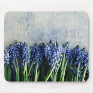 Hyazinthen-Bündel Mousepad