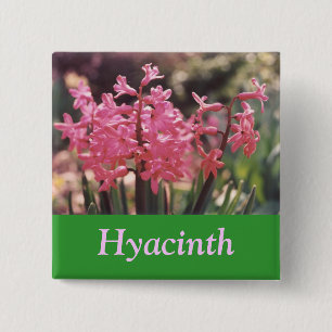 Hyazinthen-Gruppe Button