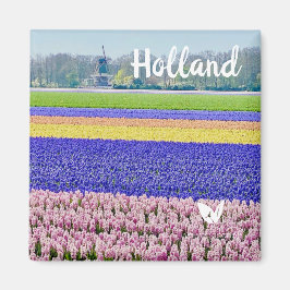 Hyazinthen in Holland - Magnet von Velvet Escape