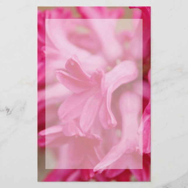Hyazinthen-rosa Briefpapier (Vorderseite)