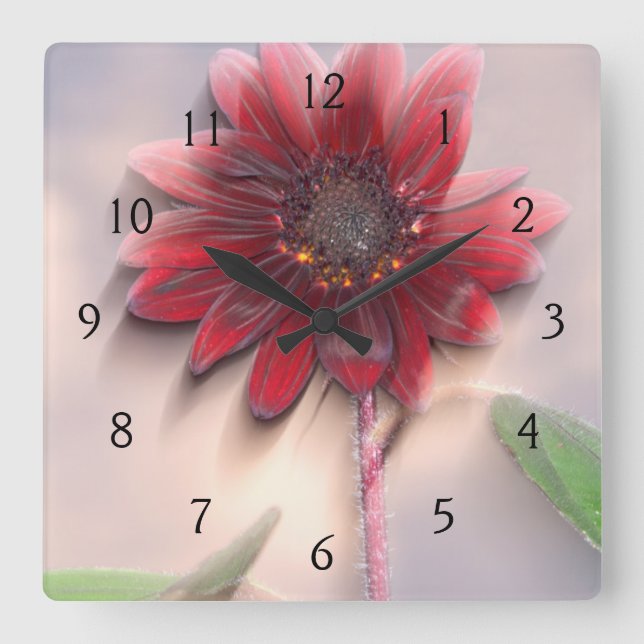 Hybrid sunflower blowing in the wind quadratische wanduhr (Vorderseite)
