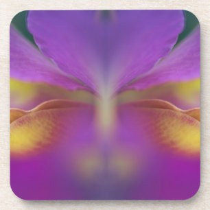 Hybride Orchidee, Florida 2 Getränkeuntersetzer