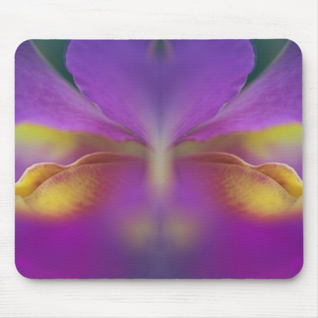 Hybride Orchidee, Florida 2 Mousepad (Vorne)