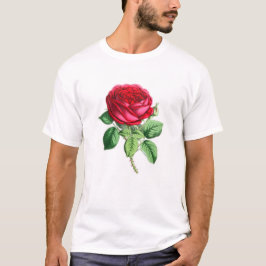 Hybride Perpetual Rose - Napoleon III T-Shirt