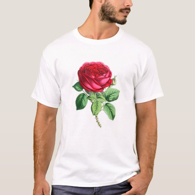 Hybride Perpetual Rose - Napoleon III T-Shirt (Vorderseite)