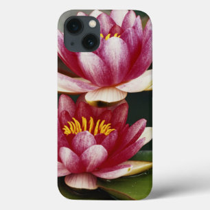 Hybride Seerosen iPhone 13 Hülle