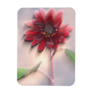 Hybride Sonnenblume bläst im Wind Magnet
