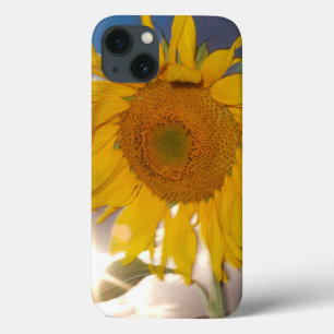 Hybride Sonnenblume bläst in der Dämmerung Case-Mate iPhone Hülle