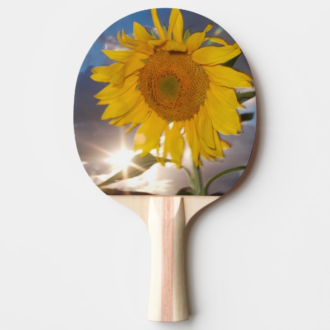 Hybride Sonnenblume bläst in der Dämmerung Tischtennis Schläger (Vorderseite)