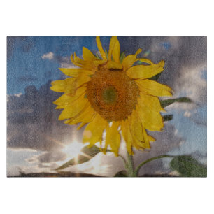 Hybride Sonnenblume, die in der Dämmerung im Wind  Schneidebrett