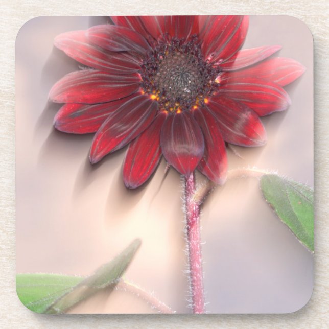 Hybride Sonnenblume im Wind Untersetzer (Vorderseite)