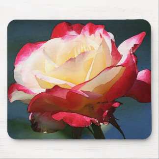 Hybride Tee-Rose "der doppelten Freude" Mousepad