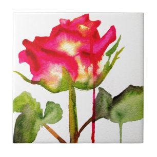 Hybride Tee Rose Wasserfarbe moderne Blume Kunst Fliese