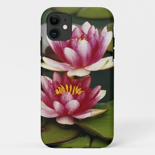 Hybridwasserlilie Case-Mate iPhone Hülle (Rückseite)