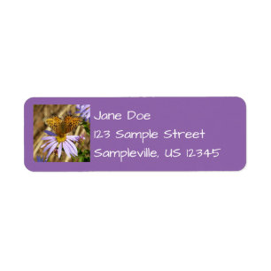 Hydaspe Fritillary auf Lila Aster-Blume