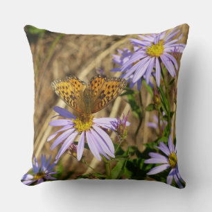 Hydaspe Fritillary auf violetten Aster-Blüten Kissen