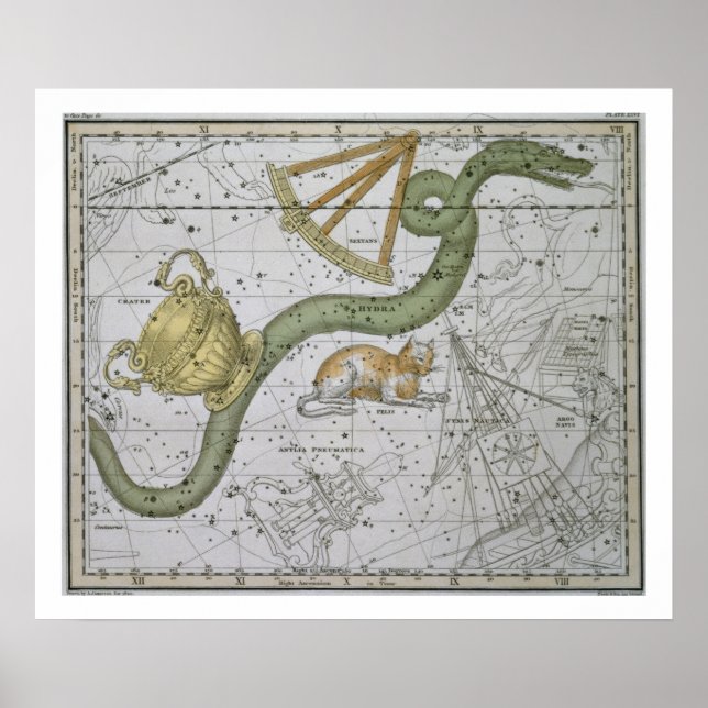Hydra, aus 'A Celestial Atlas', Pub. 1822 (Spalte Poster (Vorne)