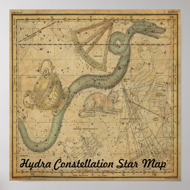 Hydra Constellation Star Map Vintag Astronomie Poster (Vorne)