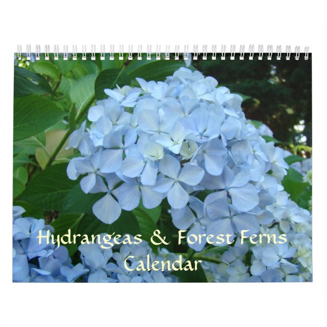 HYDRANDEAS & FOREST FERNS Kalendergeschenke Kalender (Titelbild)
