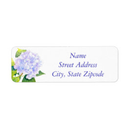 Hydrangea