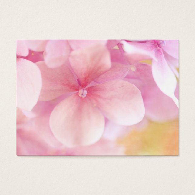 Hydrangea (Vorderseite)