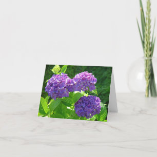 Hydrangea 2 karte