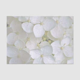 Hydrangea 6775 Gewebepapier Seidenpapier