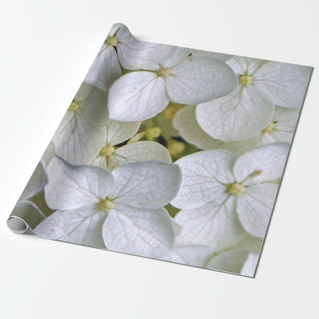 Hydrangea 6775 Wrapping Paper Geschenkpapier (Ungerollt)