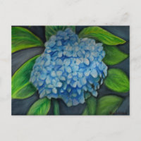 Hydrangea Aquarellmalerei Postcard