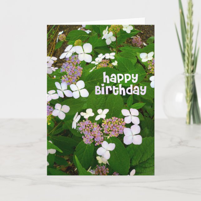 Hydrangea Aspera Birthday Karte (Vorderseite)