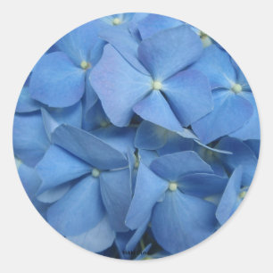 Hydrangea-Aufkleber Runder Aufkleber