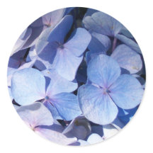 Hydrangea-Aufkleber