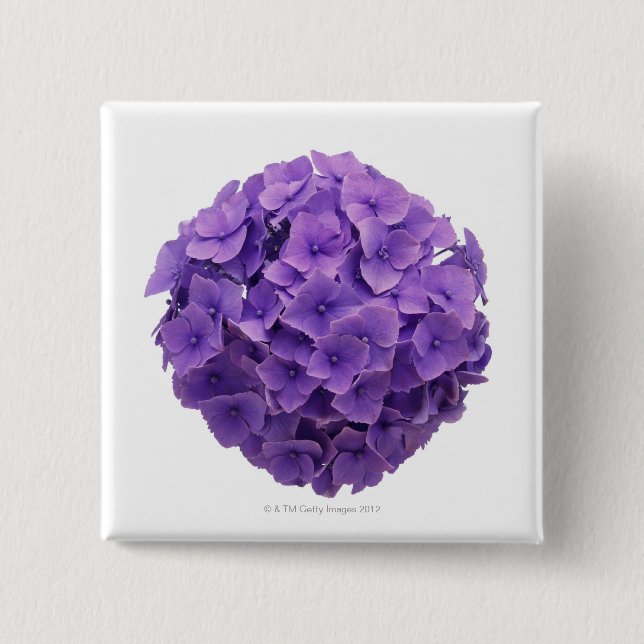 Hydrangea-Ball-Nahaufnahme Button (Vorderseite)