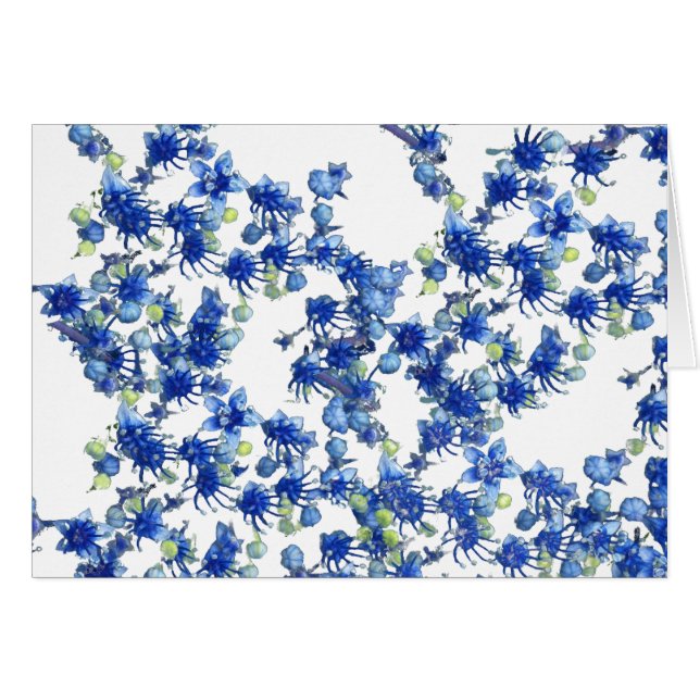 hydrangea bgc transparent (Devant horizontal)