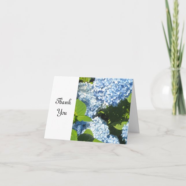 Hydrangea Bleu Clair Merci (Devant)