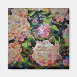Hydrangea Blossom Dekorative Blumenart Rosa Magnet