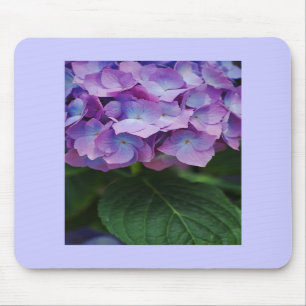Hydrangea blüht Mousepad
