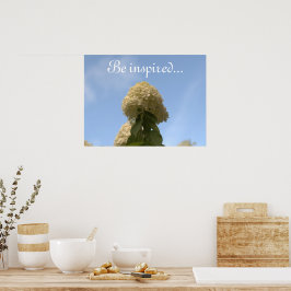 Hydrangea Blume Blue Sky Poster