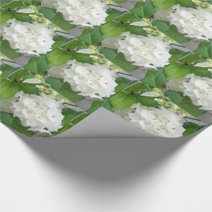 Hydrangea Blume Grüner Garten Pflanze Geschenkpapier